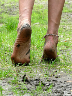 footsteps to freedom